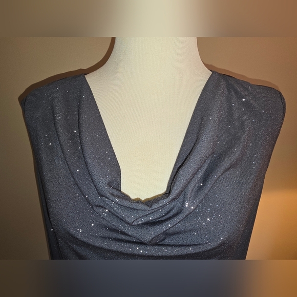 Roz & Ali Metallic  Sparkle Gray Cowl Neck Top SLEEVELESS Size XL - Picture 2 of 6